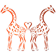 Two spotty giraffes and a heart of tails
