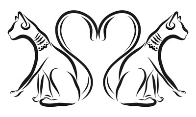 Cats and a heart of tails