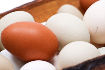 Unwashed fresh organic gmo and soy free pasture raised chicken eggs in wooden bowl isolated on white background