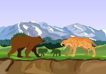 Bear and tiger, vector wild background. Nature, natural.