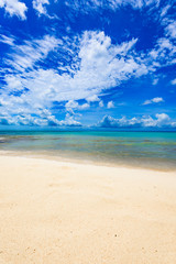 magical paradise beach of the Caribbean sea