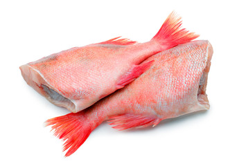 Raw red sea fish without head on white background. Two red perchs