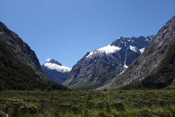 Fototapeta na wymiar ニュージーランド、ミルフォードロード、山