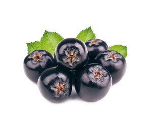Chokeberry with leaves isolated on white background. Black aronia berries.