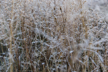 Fototapeta premium yosemite