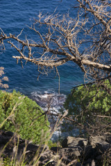 partial view of the Ionian coast near Acireale in Sicily