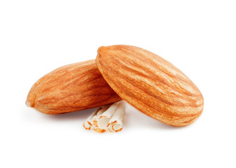 Almonds isolated on white background.