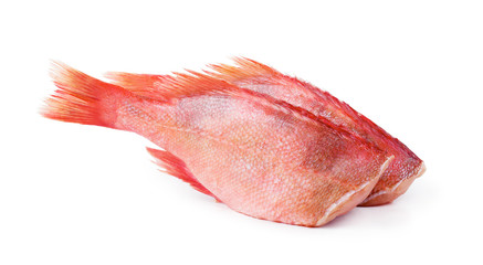 Two raw red sea perches isolated on white background.