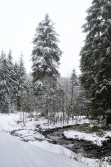 Winterlicher Waldweg im Harz, Deutschland
