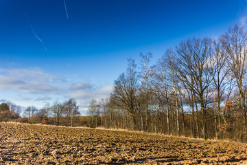 Autumn sunny landscape in windy weather.