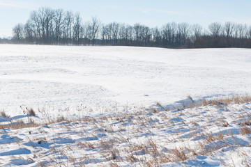 snowy field