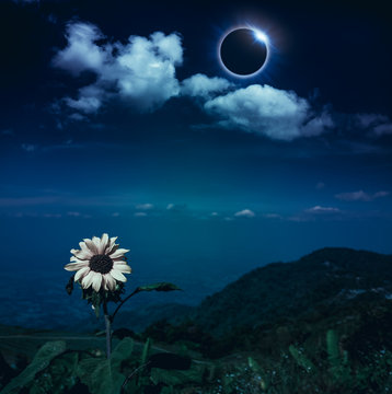 Scientific natural phenomenon. Total solar eclipse with diamond ring effect.