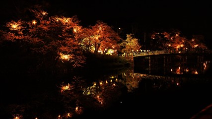 水面に映る夜桜