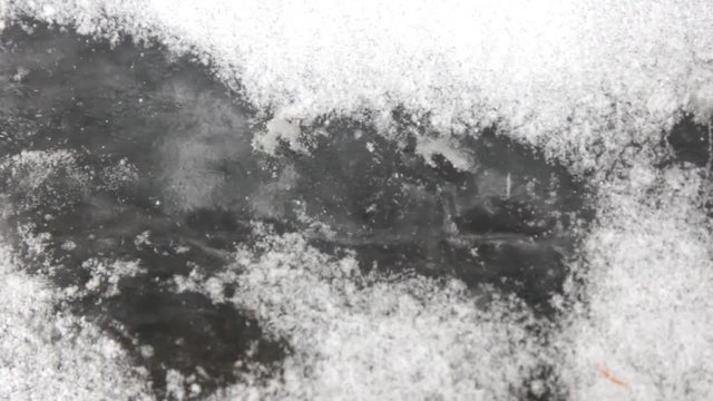 water flow drives air bubbles under young ice had powder snow
