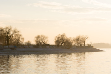 Fototapeta premium Leafless Trees Bathing in a Sea of Light