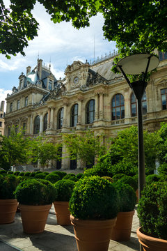 Bourse palace (Chamber of Commerce) in Lyon surrounded by green leaves.