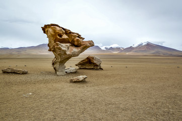 Arbre de pierre, Bolivie