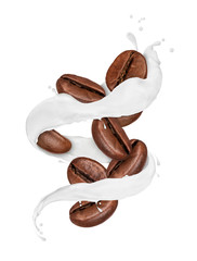 Coffee beans moves in a swirling splashes of milk, isolated on white background