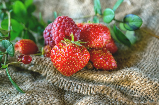 Ripe red strawberries and raspberries , lying on green leaf with drops of rain on the authentic substrate of woven fabric in the garden in a rustic style.
