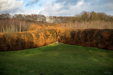 Het Geldersch landschap