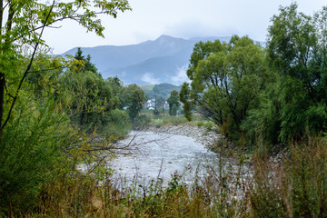 mountain river in summer