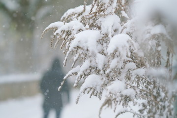 Winterlicher Spaziergang im 'Schnee