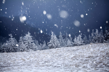 Trees covered with hoarfrost and snow in winter mountains - Christmas snowy backgroundic holiday background