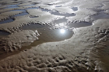 Strand mit Prielen während der Ebbe an der Nordsee