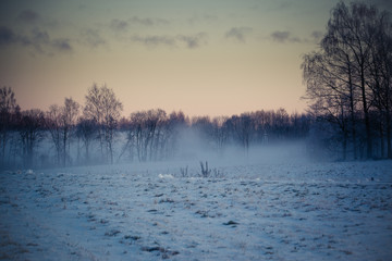 Countryside in winter, snow on the fields, trees on horizont, red sky in sunrise.