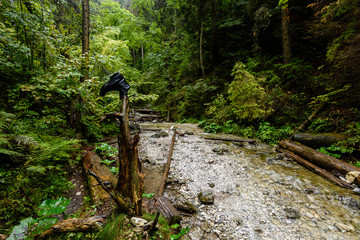 mountain river in summer. slovensky raj. sucha bela trail