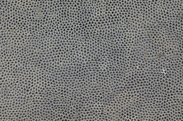 Black leather texture