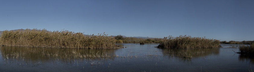 panoramic of the marsh of the natural park of La Fonda