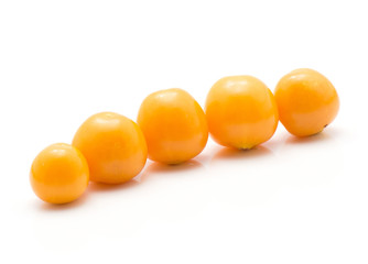 Five physalis orange berries in row isolated on white background.