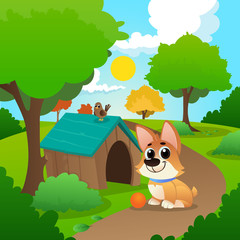 Smiling corgi sitting on path in park. Little bird on roof of dog s house. Playful pet with orange ball. Nature landscape with trees and green grass. Flat vector