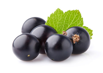 Currant berry in closeup