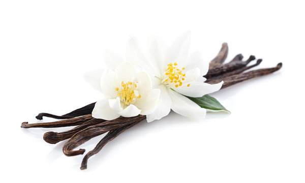 Jasmine flowers with vanilla
