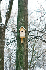 Birdhouse or nesting box on tree in a winter park.