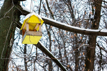 Birdhouse or nesting box on tree in a winter park.