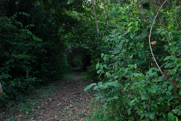Ruin in Piedras Negras