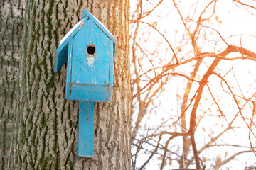 Birdhouse or nesting box on tree in a winter park.