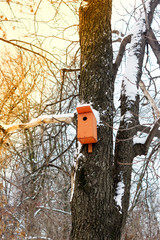 Birdhouse or nesting box on tree in a winter park.