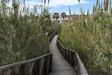 wooden bridge over the protected area for access to the beach