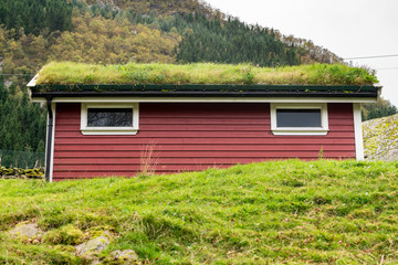 Fototapeta na wymiar Grass turf used as roofing material on Norwegian stable