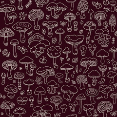 Vector seamless pattern with mushrooms. Autumn forest.