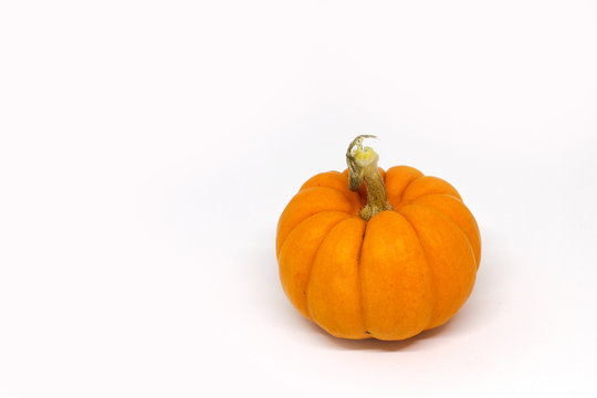 halloween pumpkin jack be little gourd white background 4