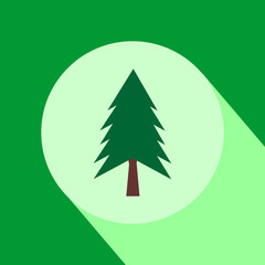 Pine tree flat design icon with long shadow.