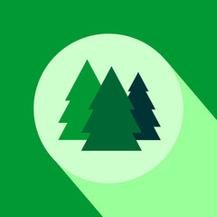 Pine tree flat design icon with long shadow.