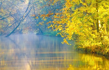 Blick über das Flüsschen Böhme im Herbst, Frühnebel, Wald, Niedersachsen, Deutschland, Europa 