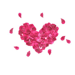 Heart made of rose petals. Red rose petals heart over white background. Top view. Love and romantic theme.