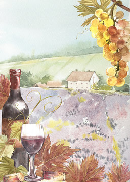 Bottles and leaves of grapes. Background with a lavender field. Watercolor illustration for postcards, scrabbuking. Hand drawn watercolor illustration. Banners of wine vintage background.